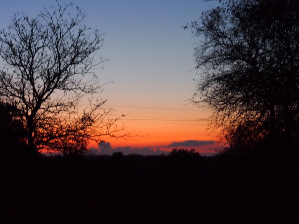 Day break at Sabi Sands camp