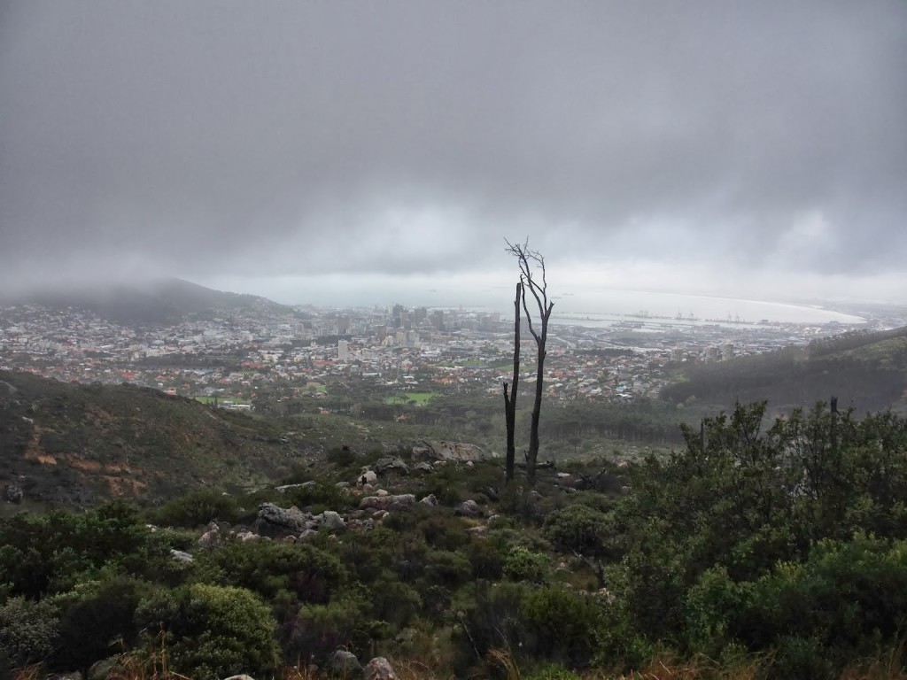 View of the city from the parking lot. It was one of the better times during the bad weather.