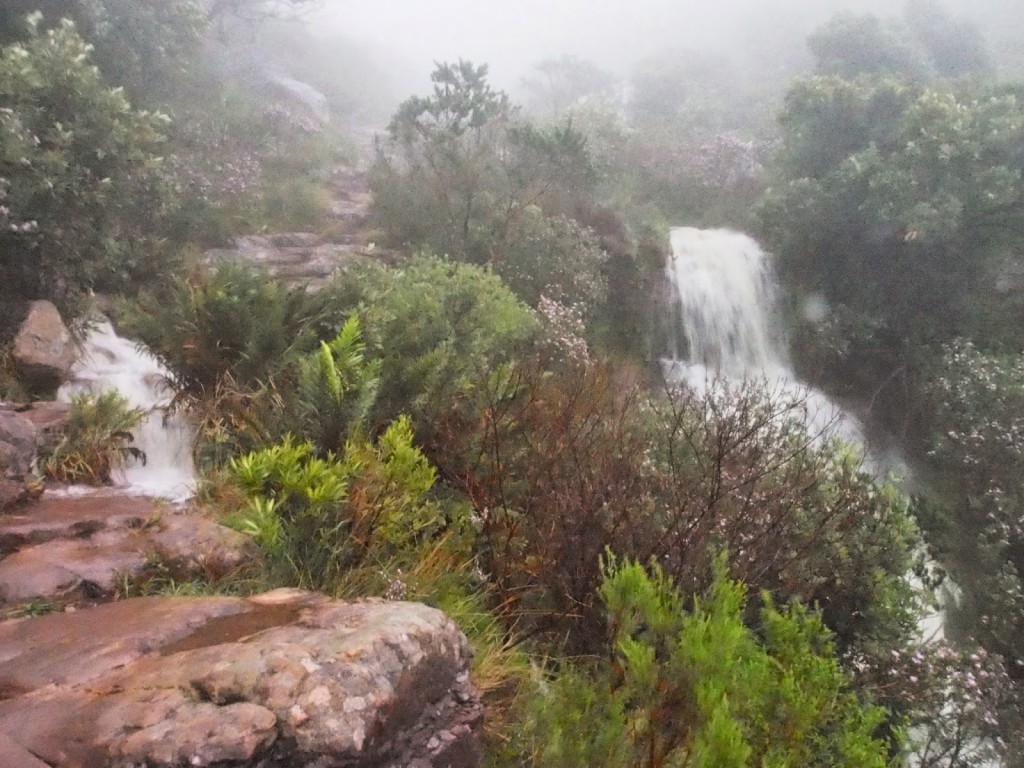 The little stream on the left interrupted our climb.