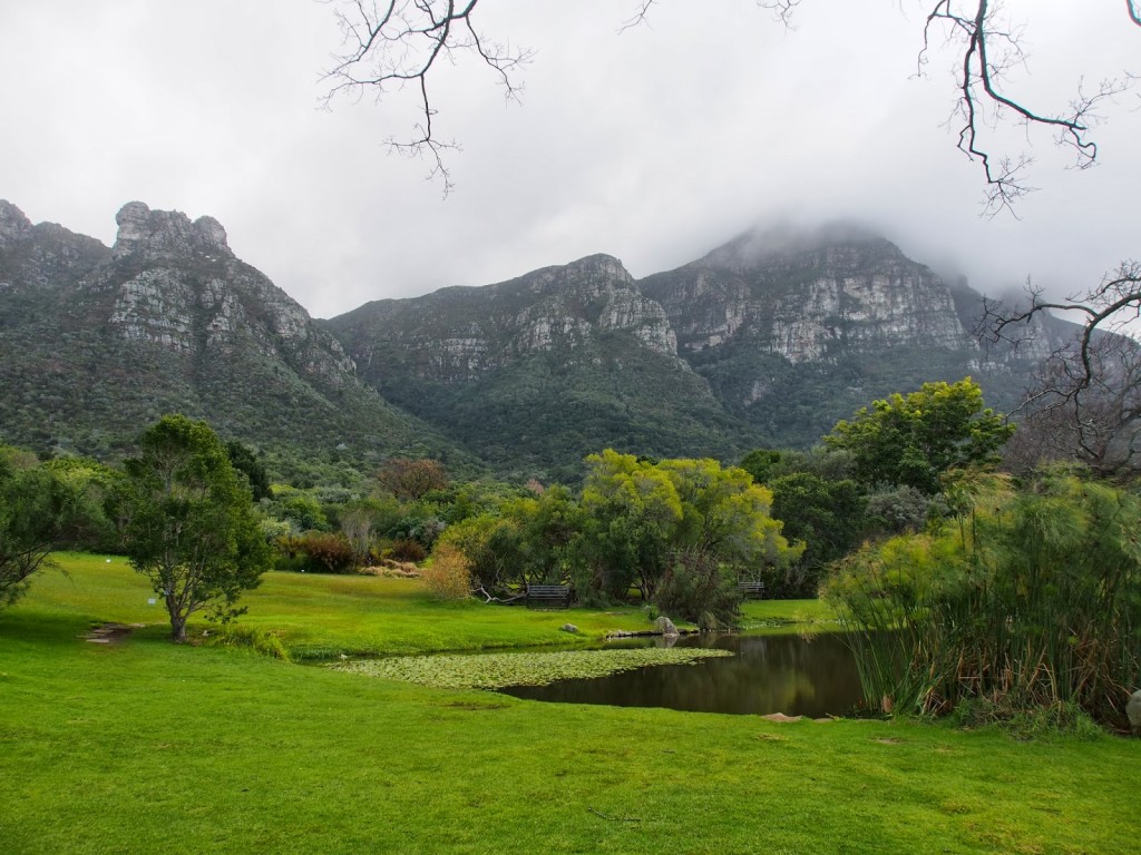 Our lunch place where there is a pond and the mountain view. But it was cold too!