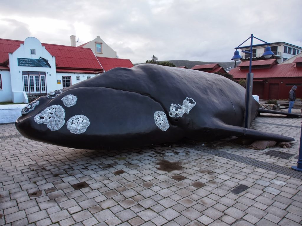 Whale statue in Hermanus town.