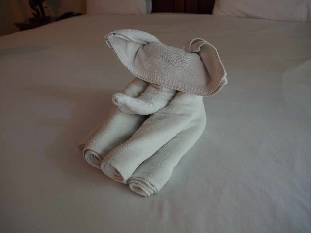 Elephant towels.