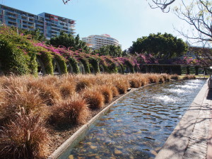 View of the parklands.