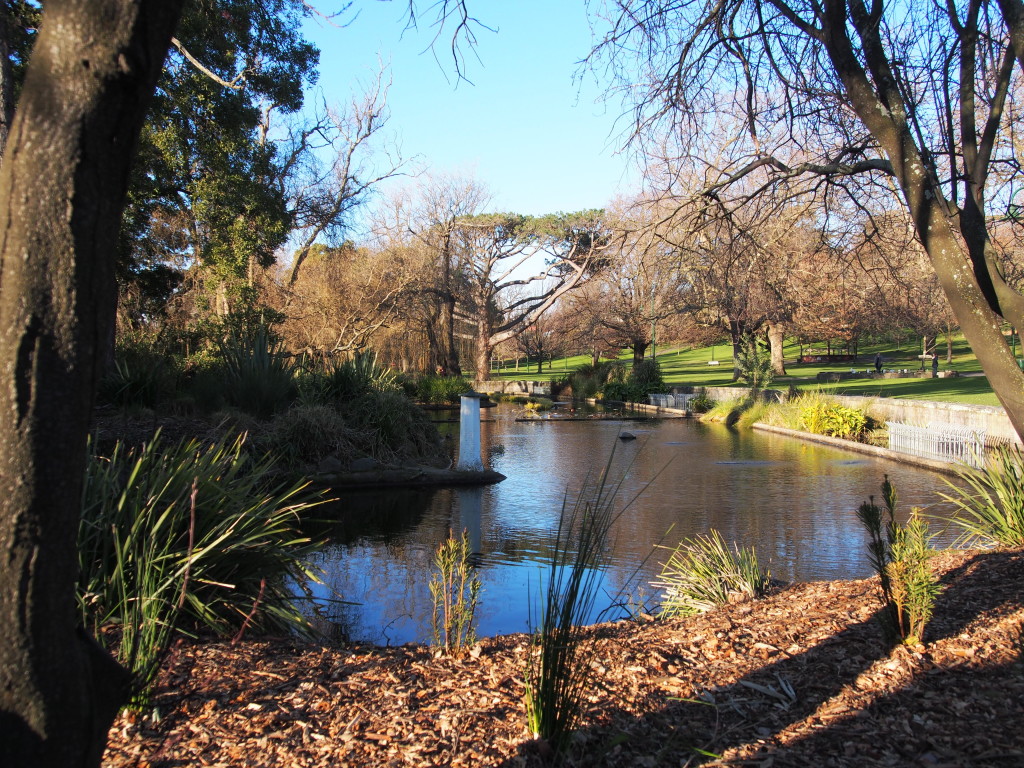 View of the park.