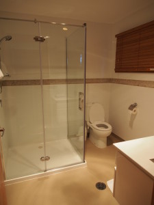 Toilet with standing shower.