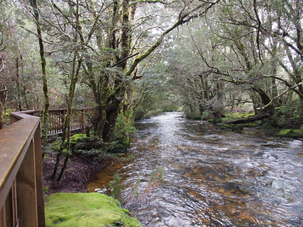 Walking alongside a stream.