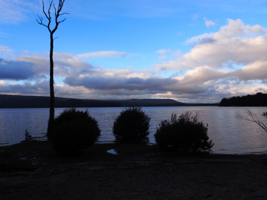 View of lake from Fergy Paddock.