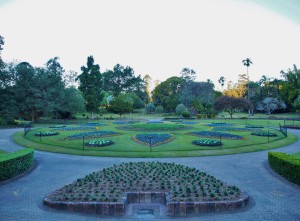 Plants arrangement in the Botanic Gardens.