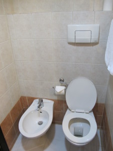 A bidet available for use.