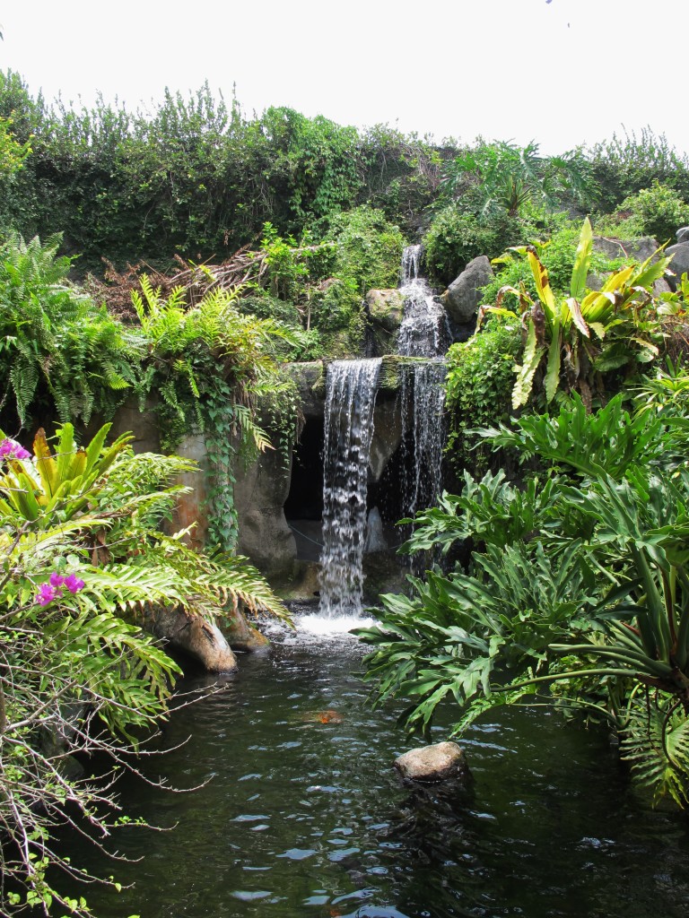 A waterfall in the rainforest theme.