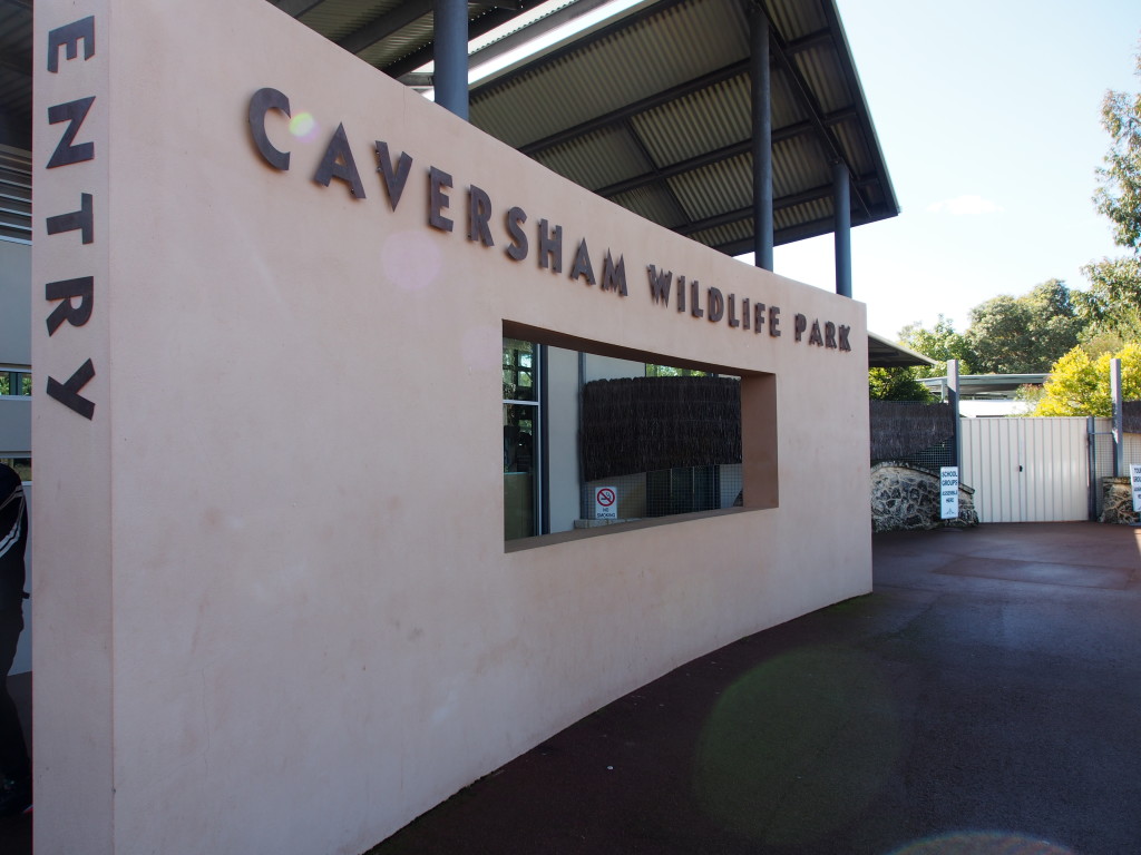 Caversham Wildlife Park.