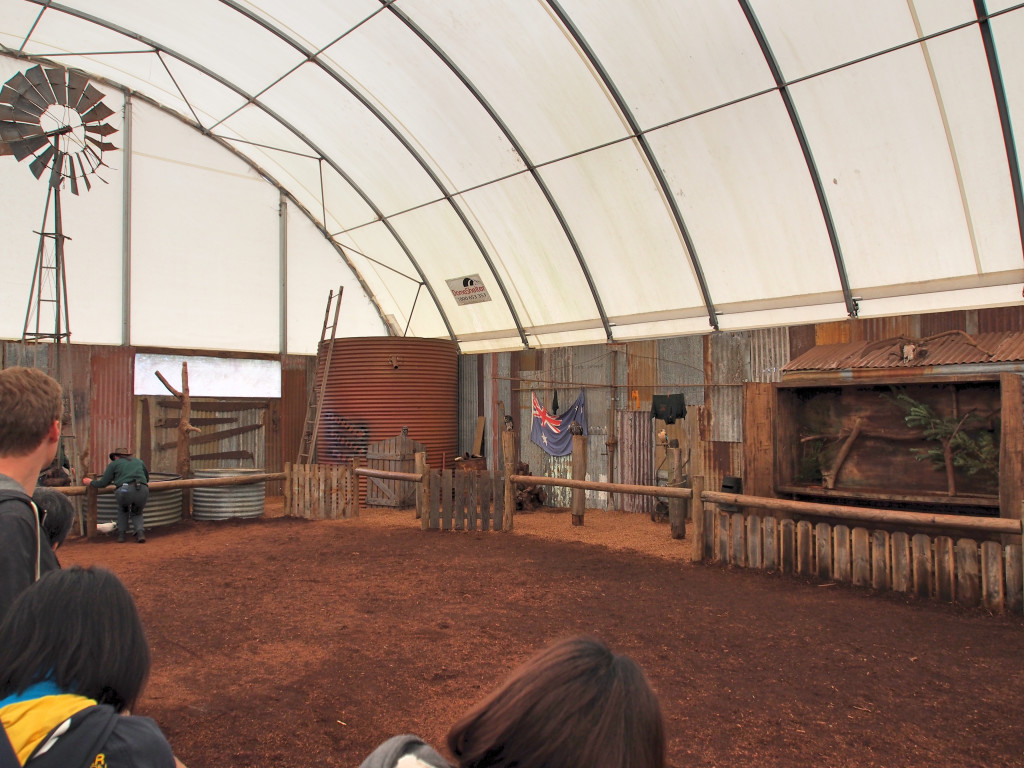 Meeting the friends of wombat.