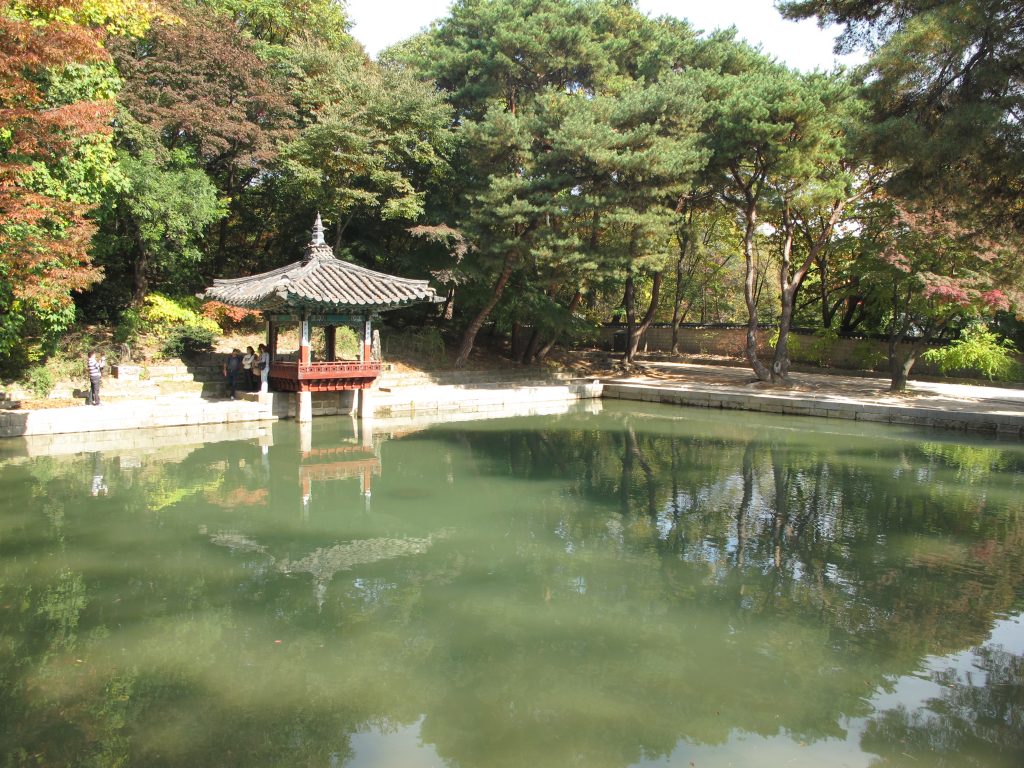 Another pond in the compounds.