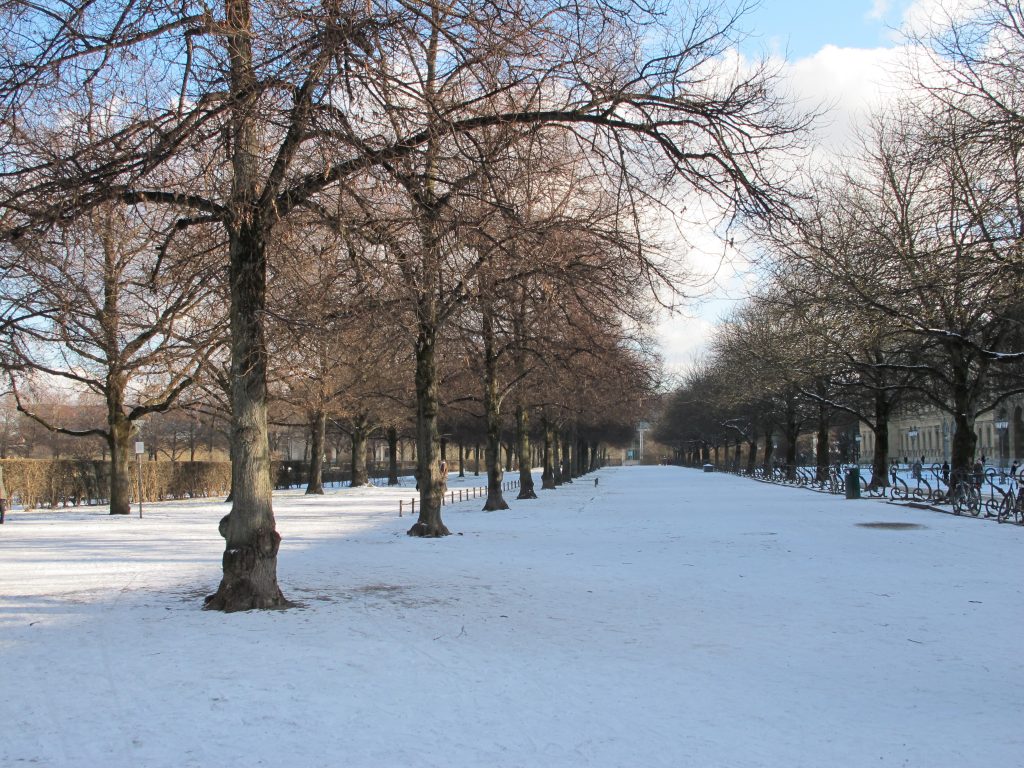 Park on a winter's day.