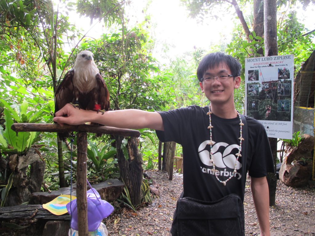 Hawk on my arm.