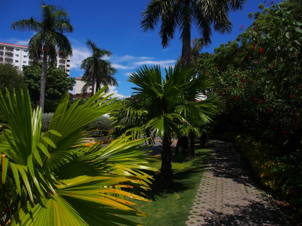 Pathway to walk to main street.