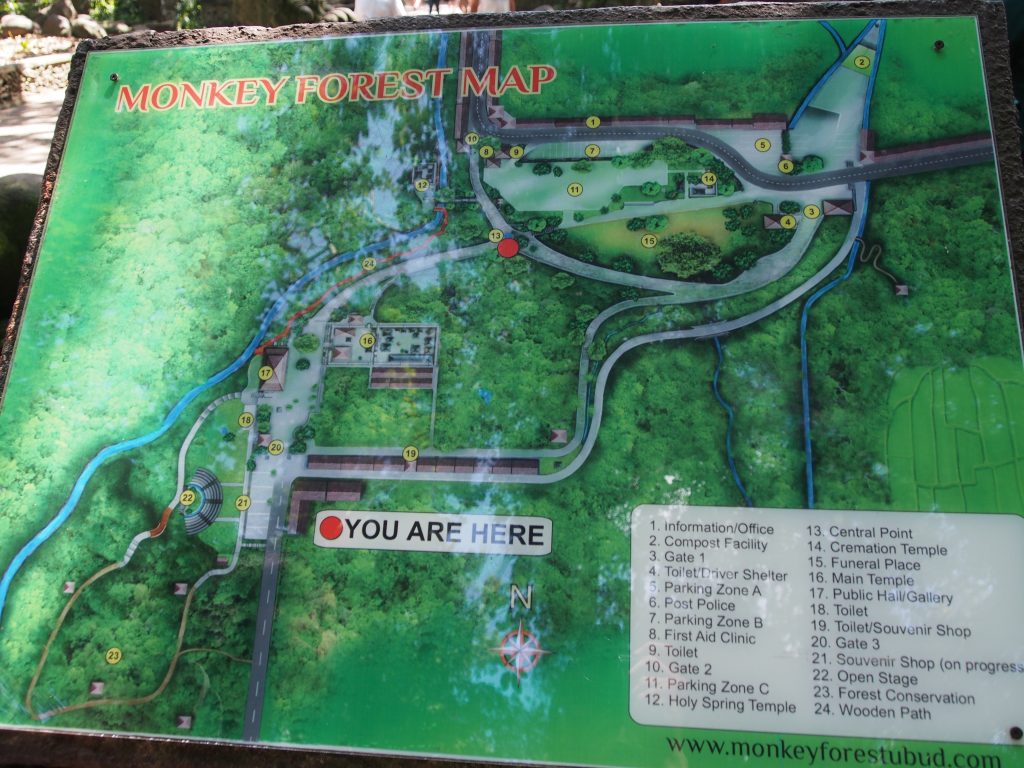 Monkey forest map.